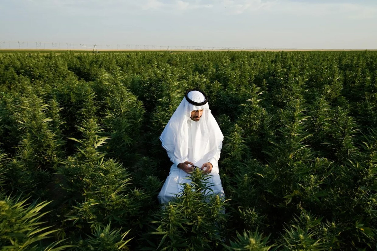 Malek Asfeer Is Taking Cannabis Activism to Saudi Arabia