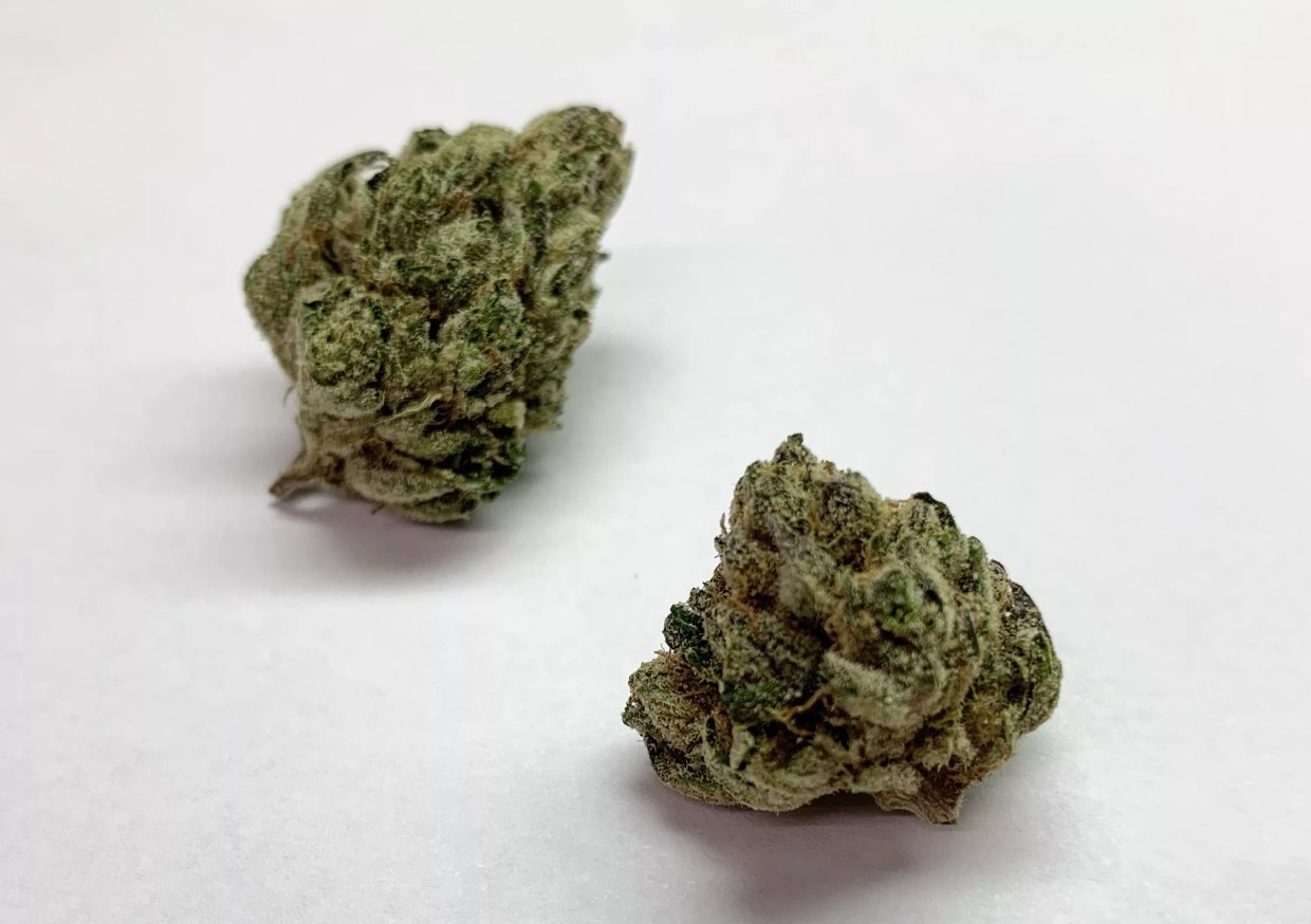 Why Colorado Tokers Love Strawberry OG