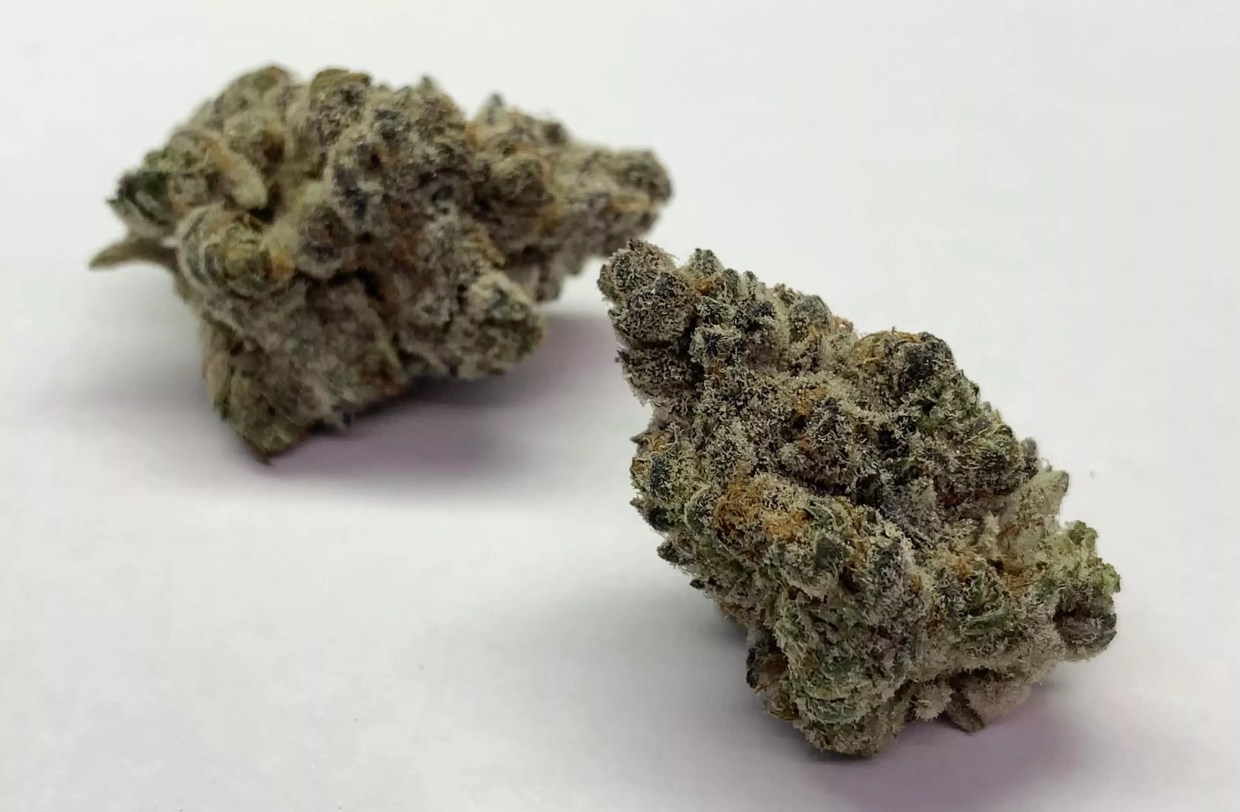 Why Colorado Tokers Love Punch Cookies