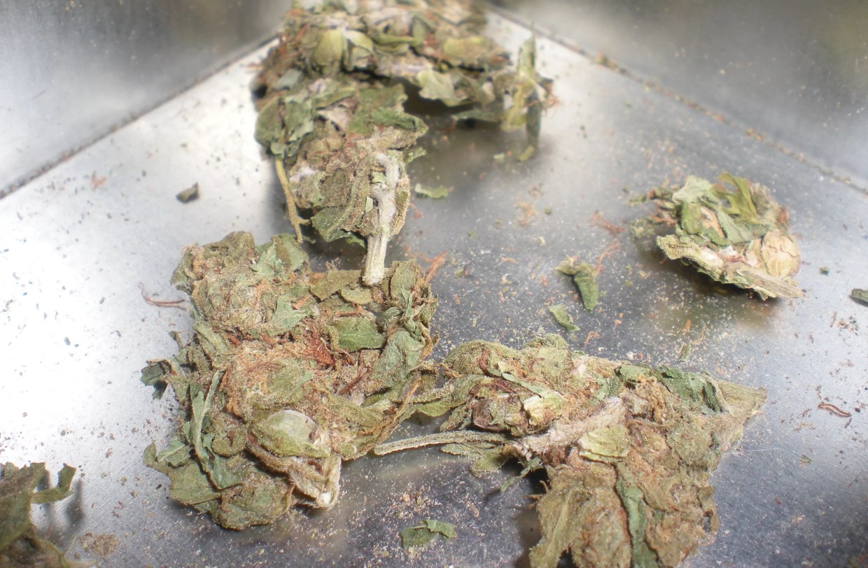 Reader: Popcorn Nugs Happen! Always Have.