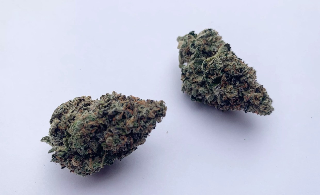 Why Colorado Tokers Love Petrol Rainbow