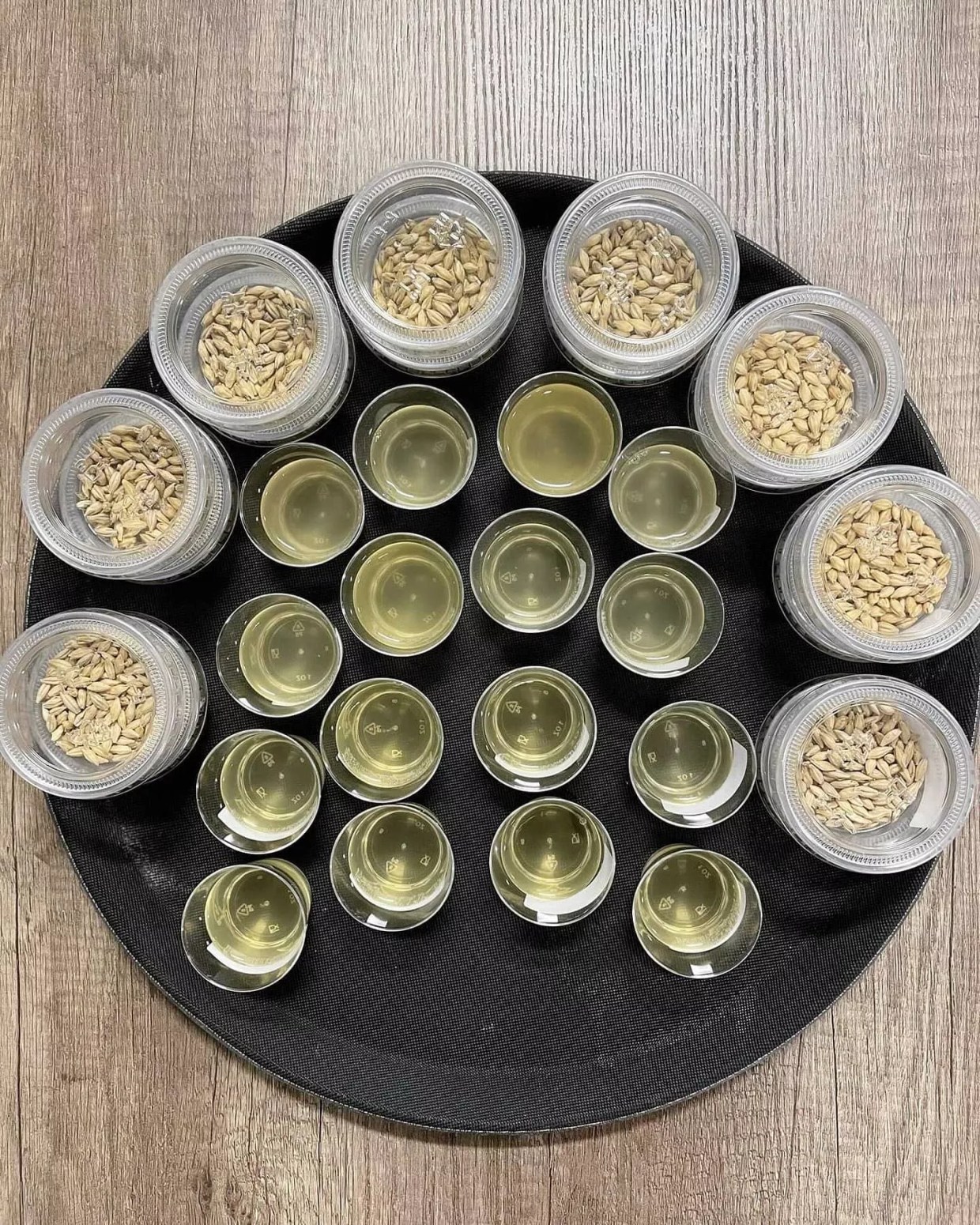 Beer Calendar: Don’t Miss Bierstadt’s Latest Lager