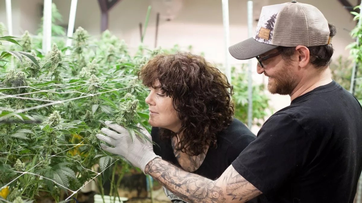 The Feds Really Still Hate Colorado Pot