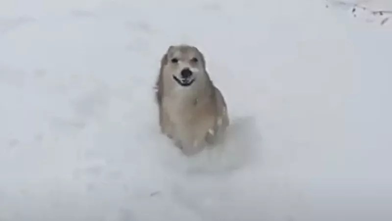 Twitter Debate: Did Forecasters Nail or Blow Snowstorm Predictions?