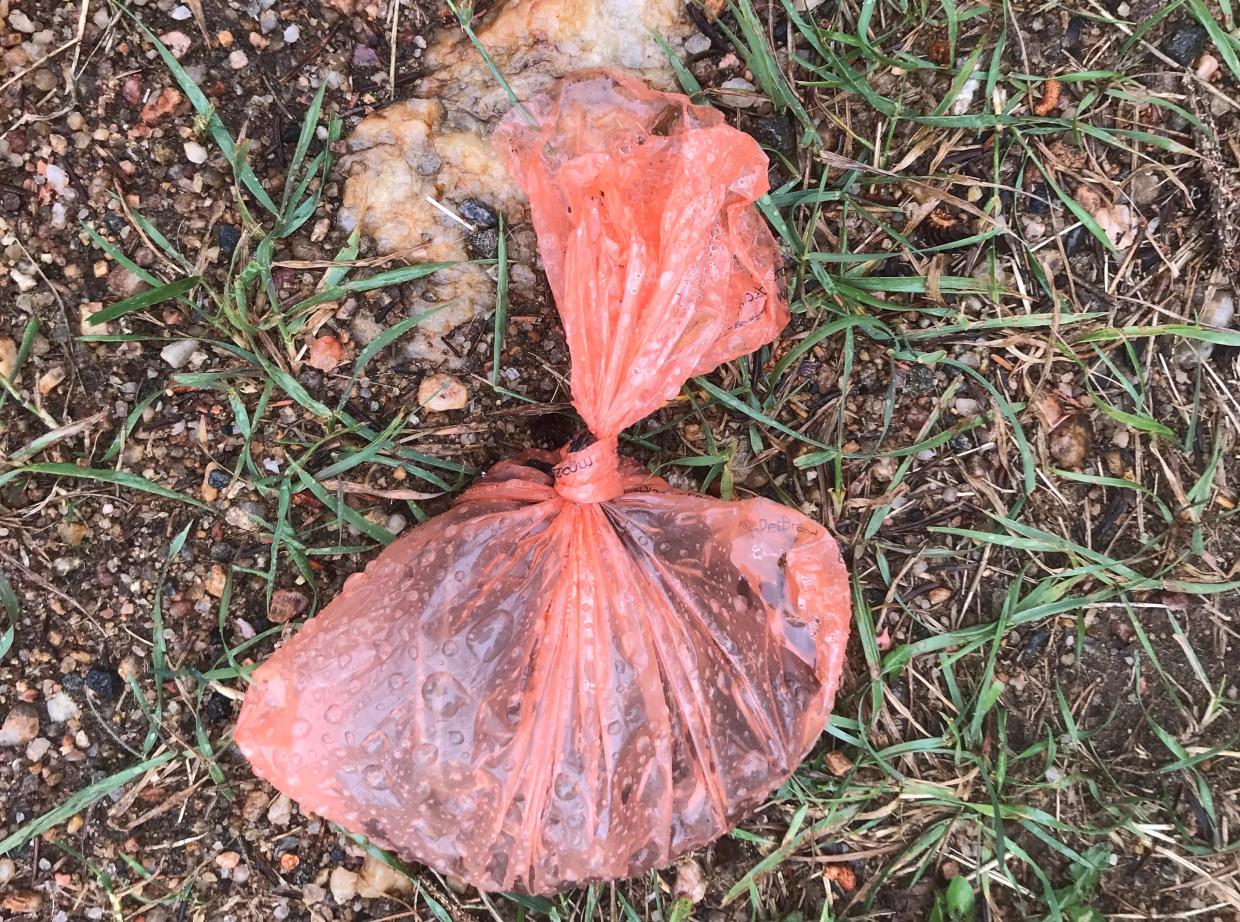 a bag of dog poop