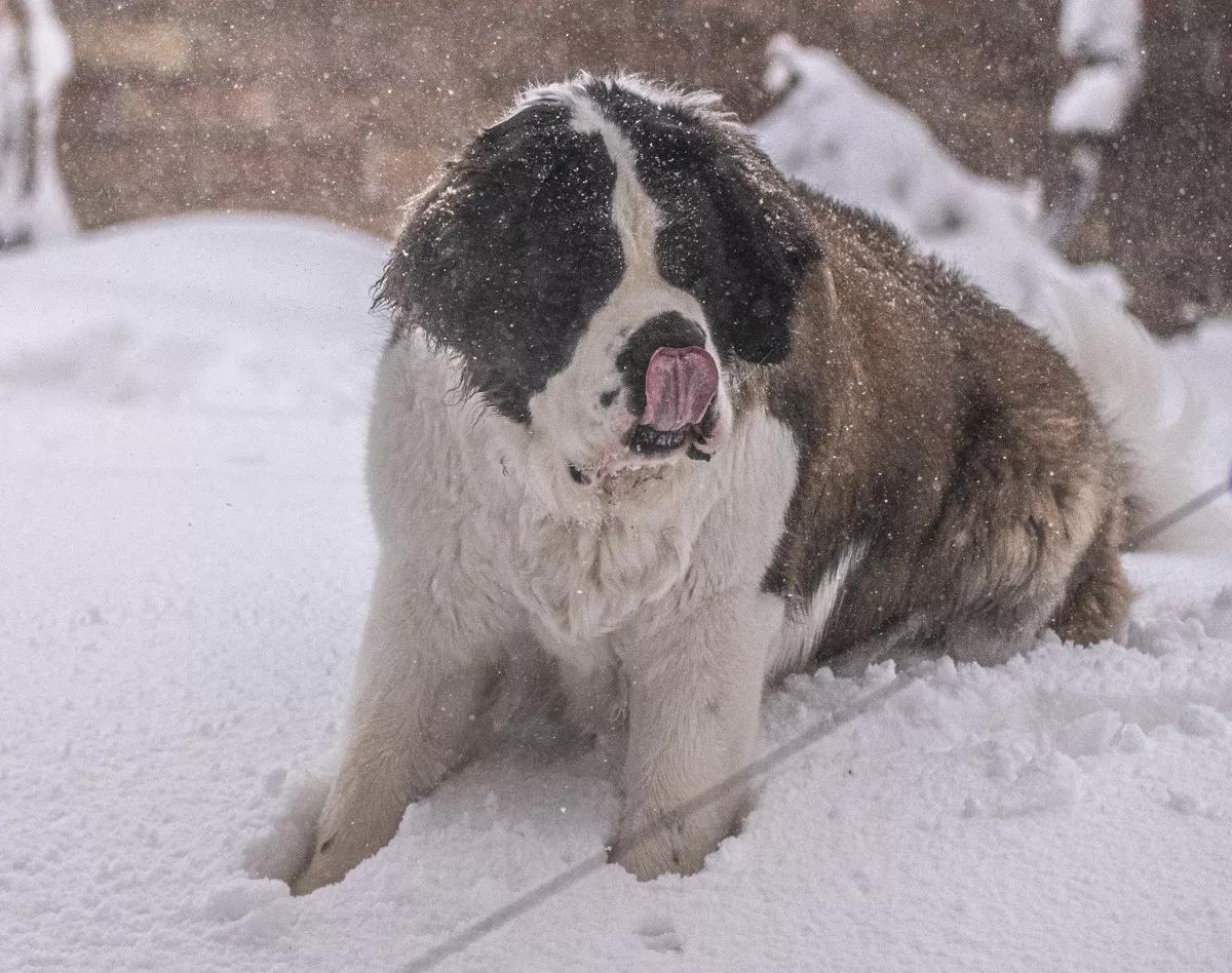 Reader: More Snow Is Coming! Bring It On, Colorado!