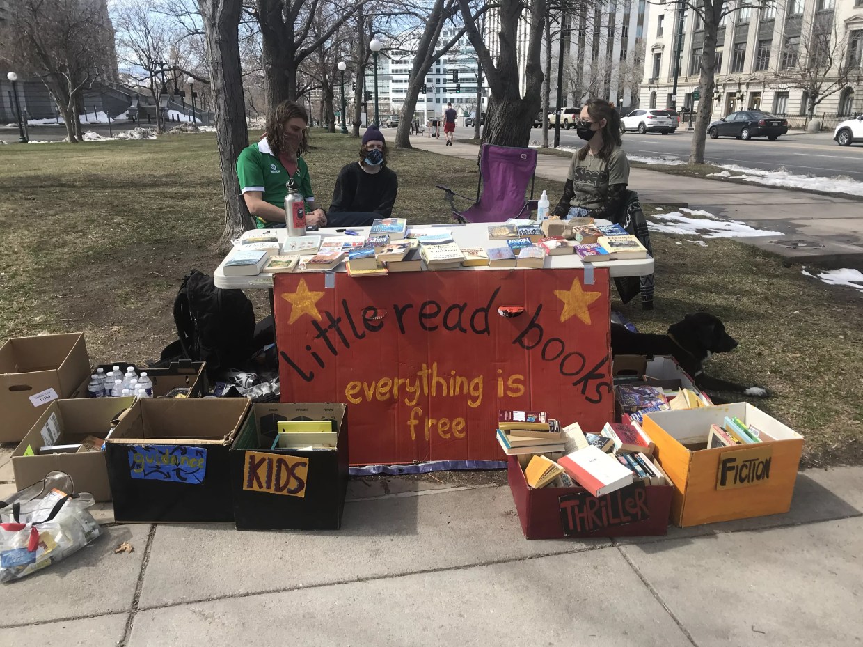 Little Read Books Distributes Food for Thought in Capitol Hill