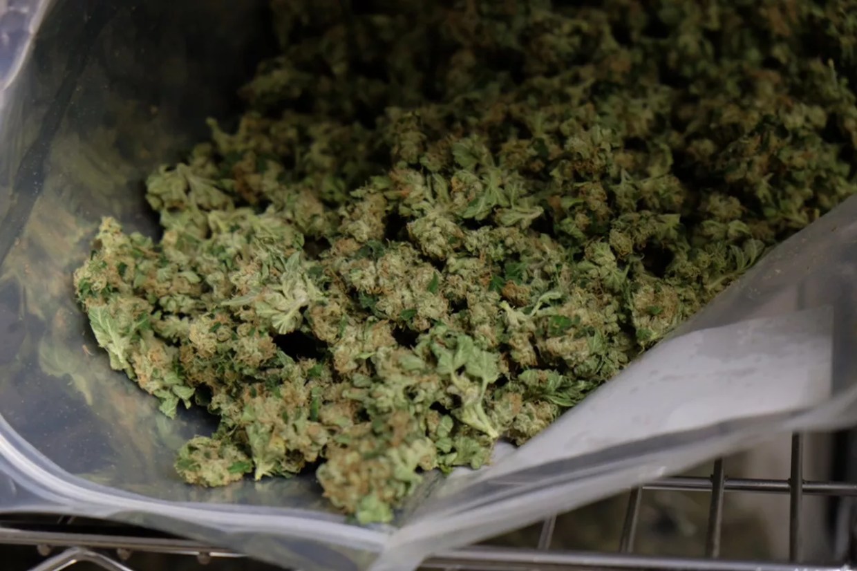 Heavy Metals Contaminant Sparks Latest Marijuana Recall