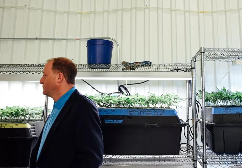 Polis Signs Bill Adding New Restrictions to Medical Marijuana