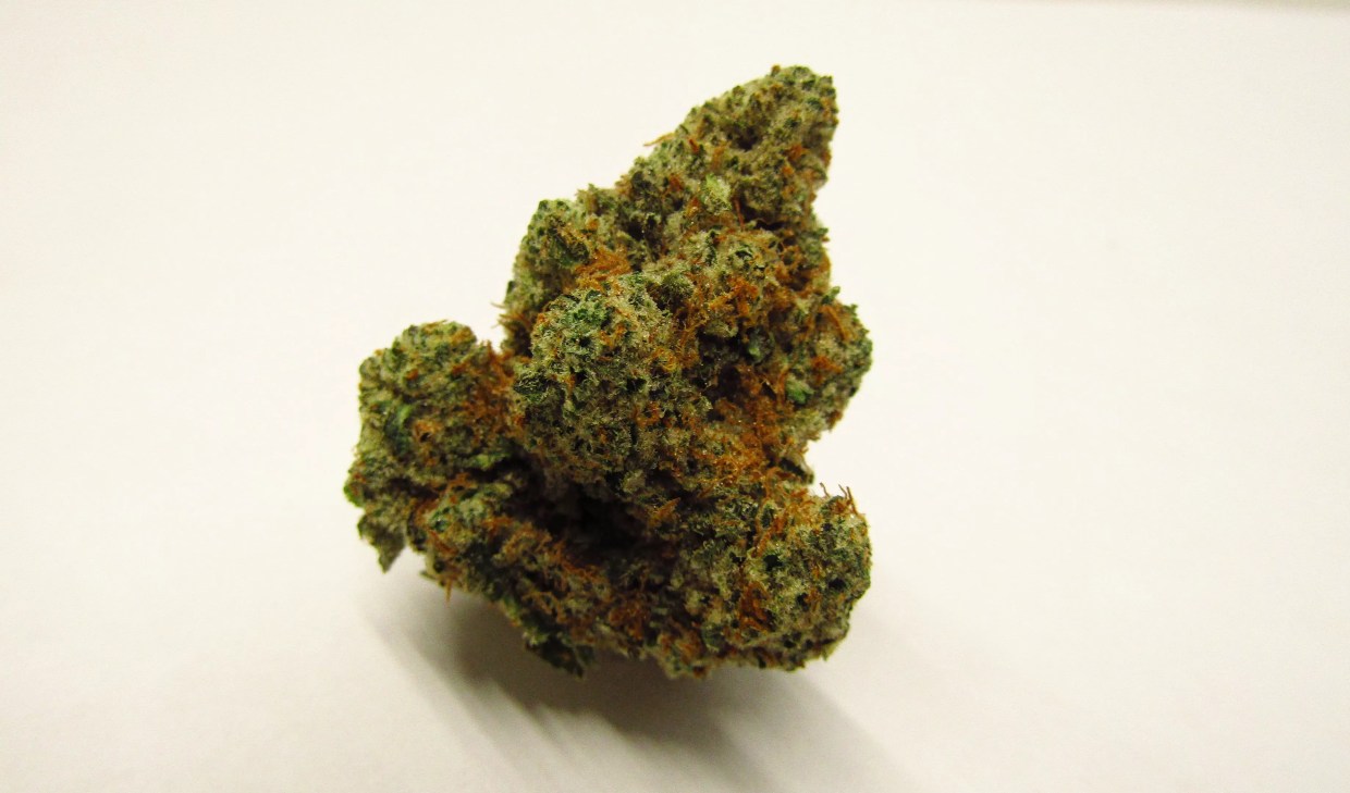 Why Colorado Tokers Love Sour Banana Dubb