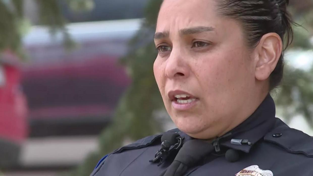 Aurora Cop Fired for Not Stopping Brutal Attack by Partner