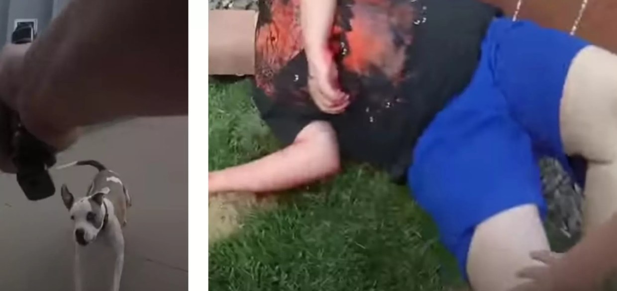 Loveland Police Videos Show Shootings of Puppy, Intellectually Disabled Teen
