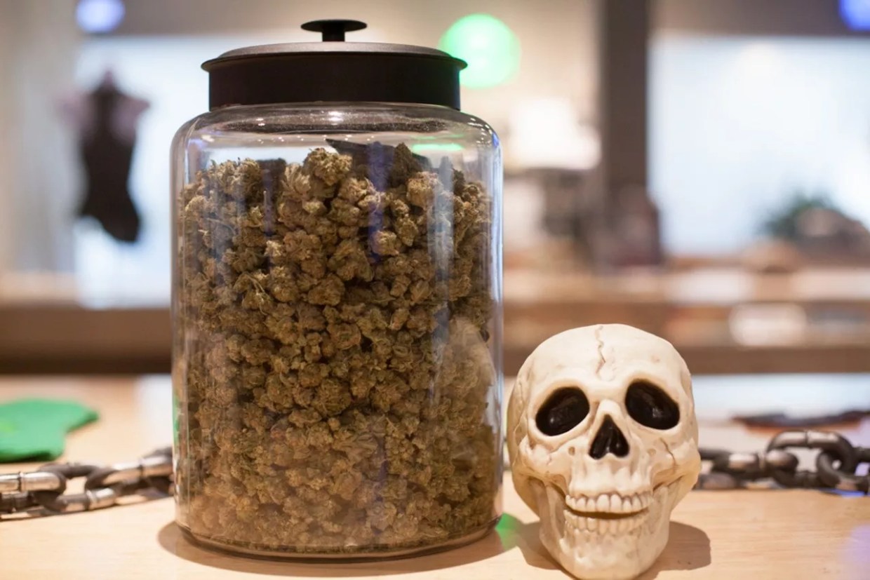 Does Weed Hurt or Help Scary Movies? We Asked a Horror Film Fest Director.