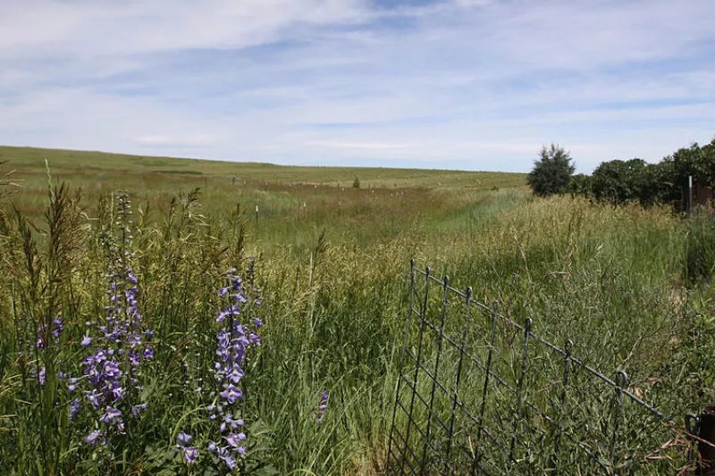 Op-Ed: My Commitment to Sustainability Means Beef Will Always Have a Place on My Menus