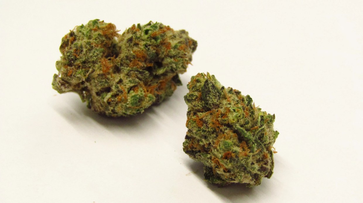 Why Colorado Tokers Love Waiting Game