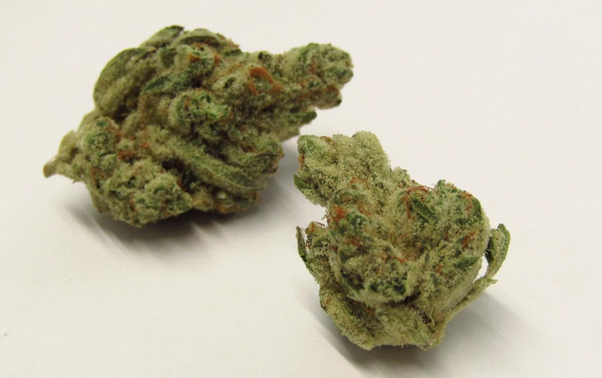 Why Colorado Tokers Love Slurricane