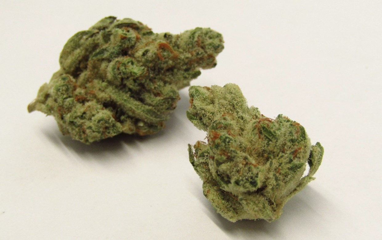 Why Colorado Tokers Love Slurricane