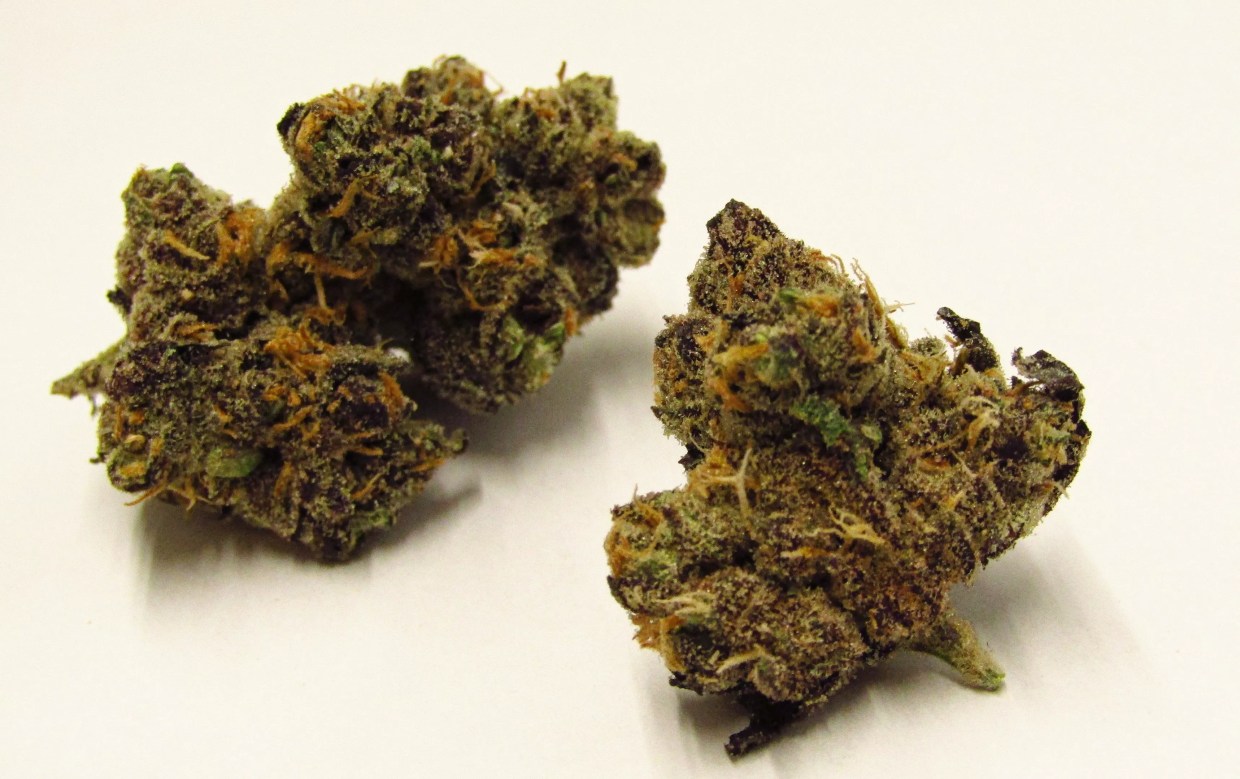 Why Colorado Tokers Love Spritzer