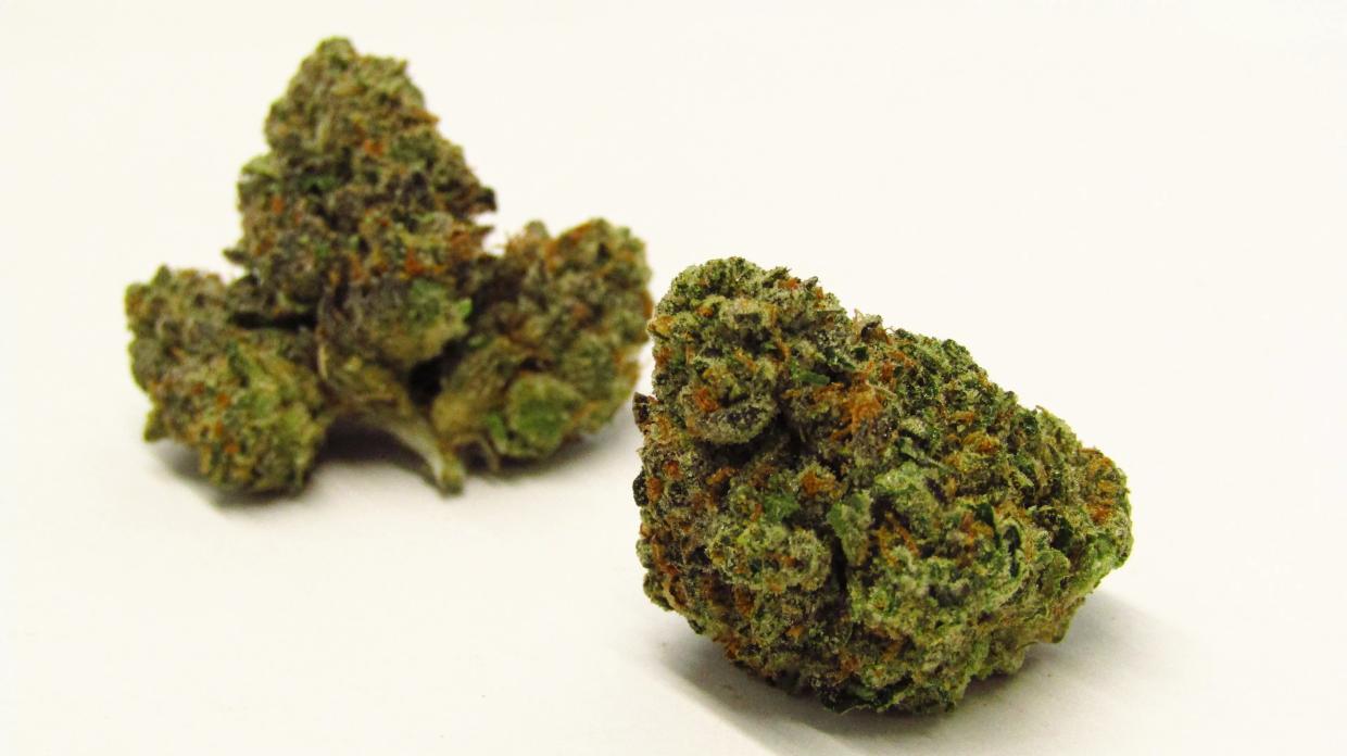 The Ten Best Colorado Cannabis Strains of 2021
