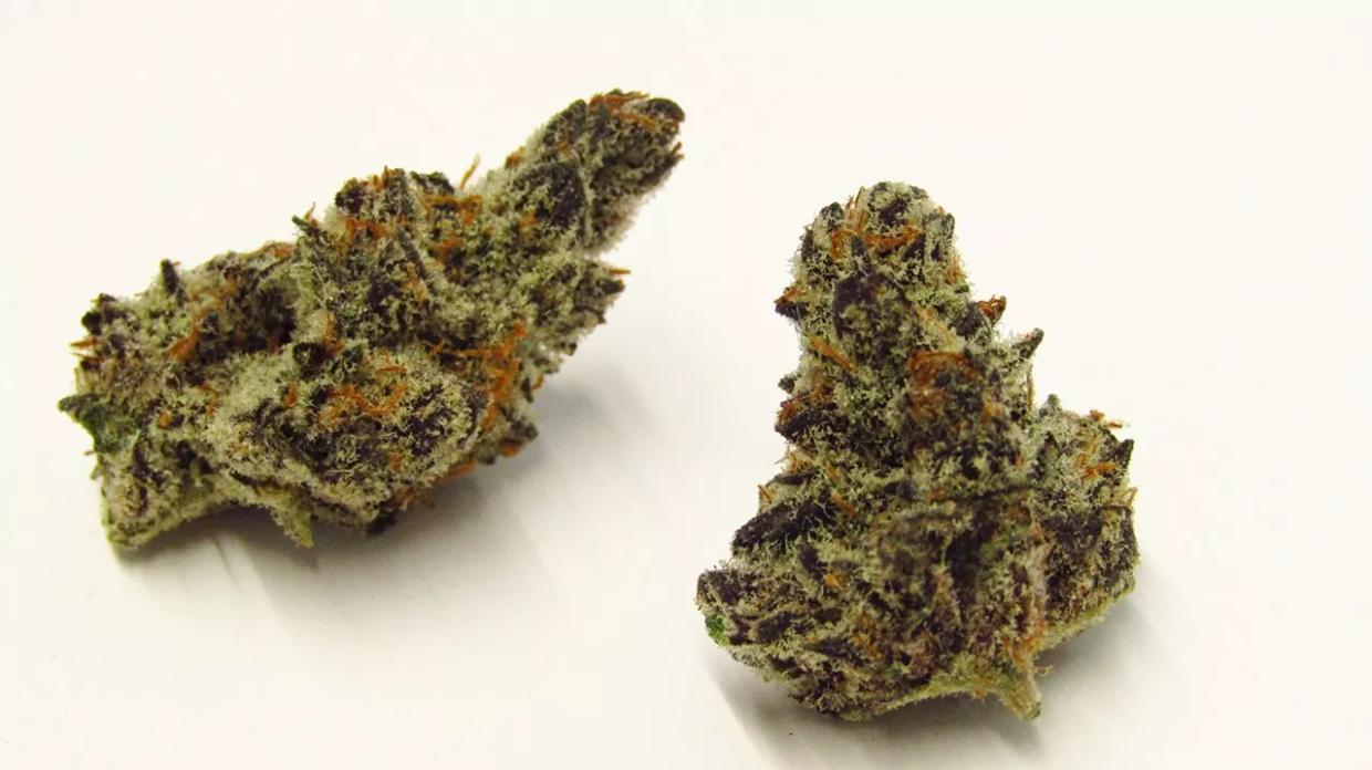 Denver’s Best Cannabis Grower in 2022 – and Other Winners in Past Years