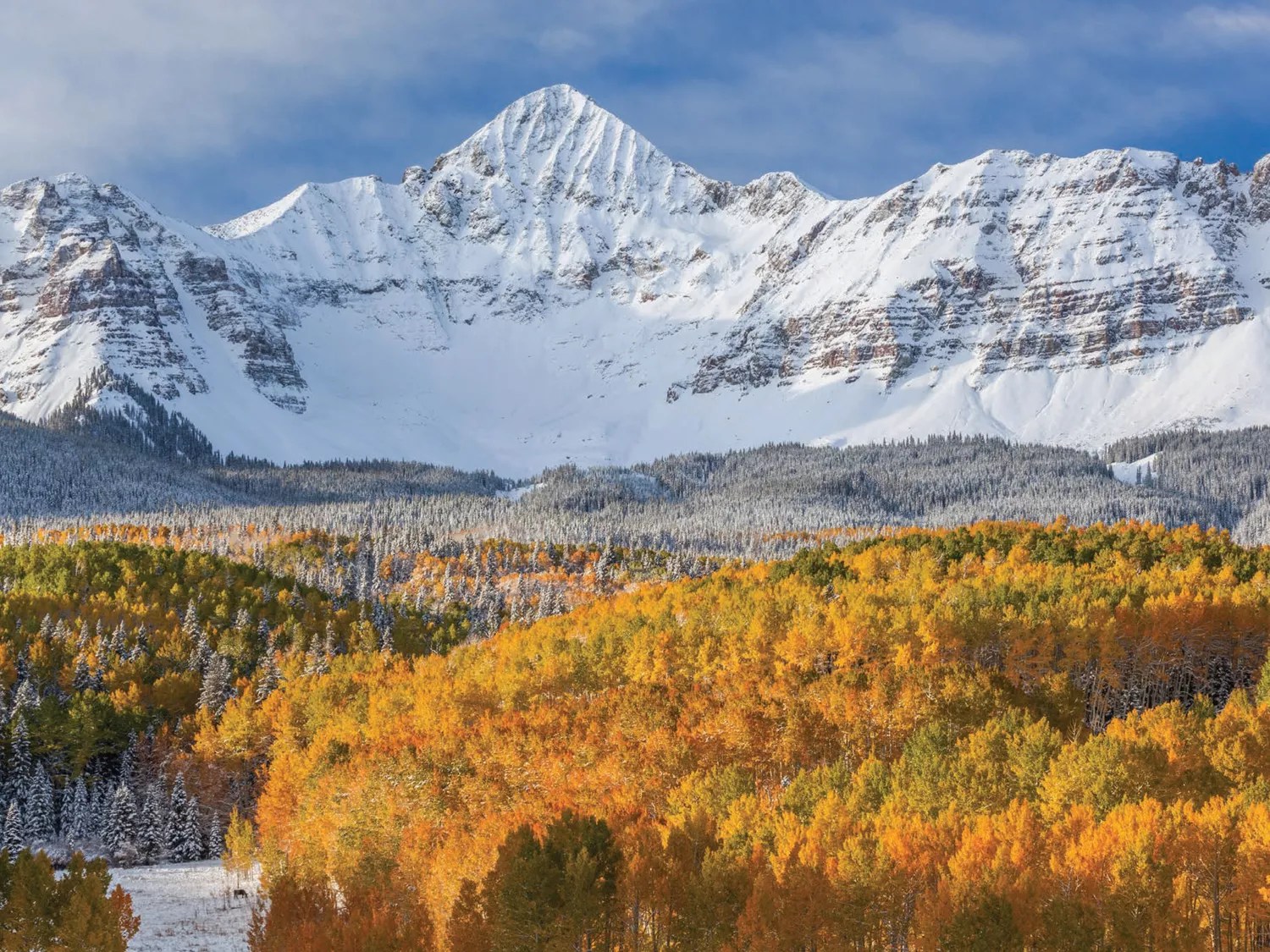 colordado mountain with snow, golden aspen