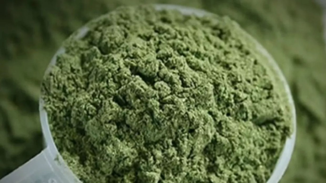 Kratom’s Future in Denver and Colorado After New Bill Becomes Law