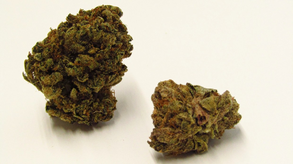 Why Colorado Tokers Love Lem Dog