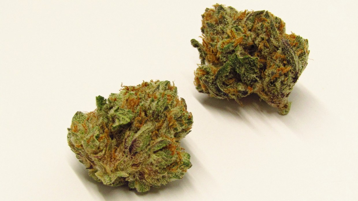 Cannabis Strains That Help Fight the Sunday Scaries