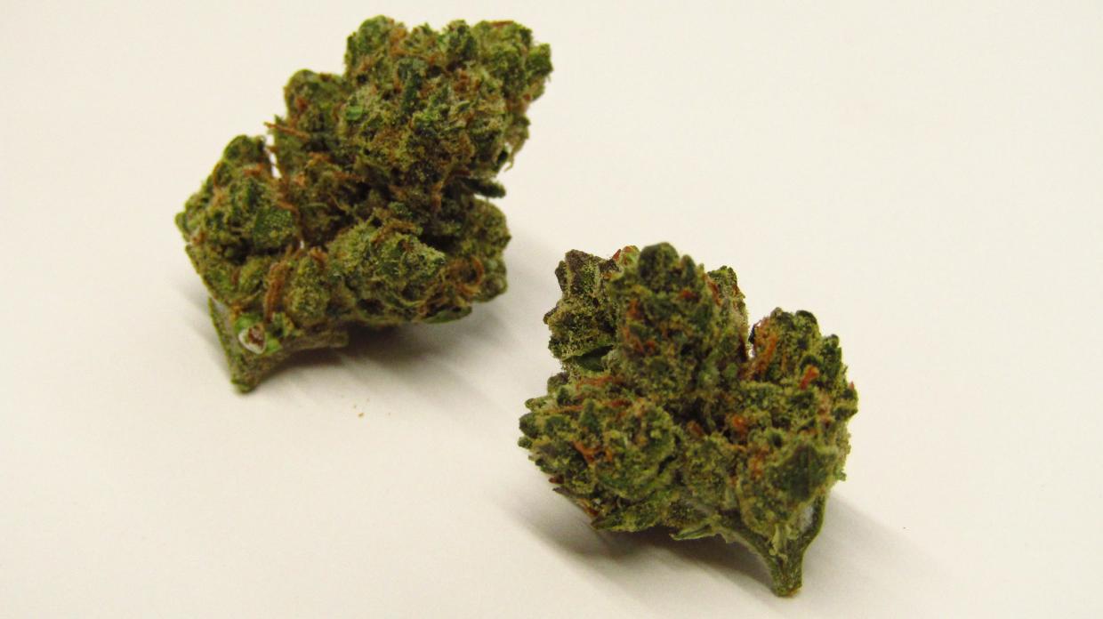 Why Colorado Tokers Love Larry OG