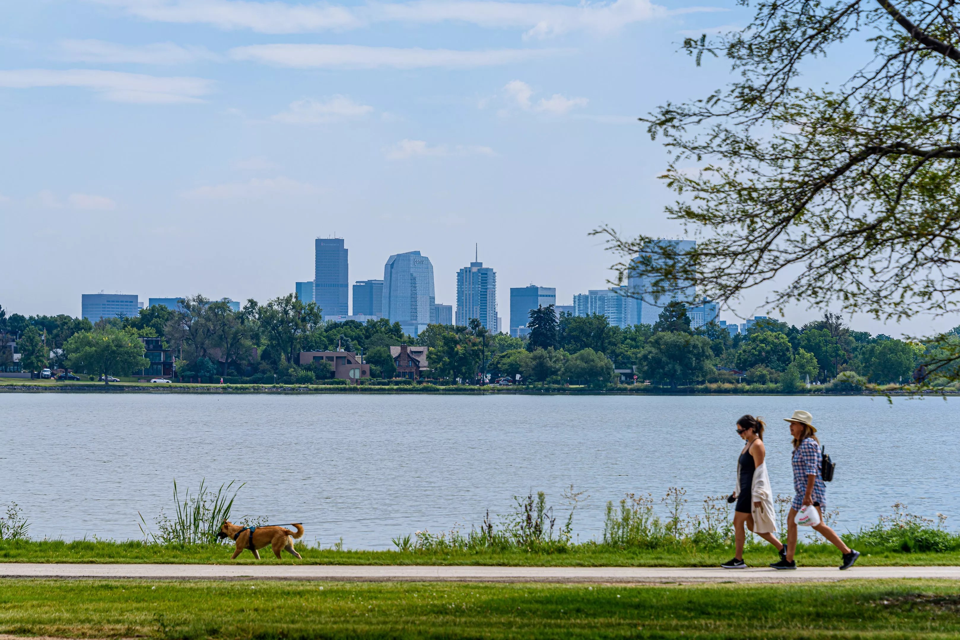 People walk a dog near a lake