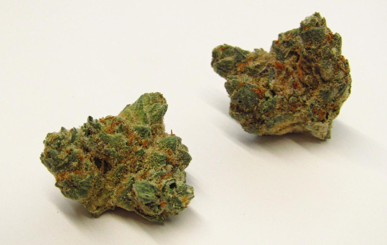 Why Colorado Tokers Love Lost Cause