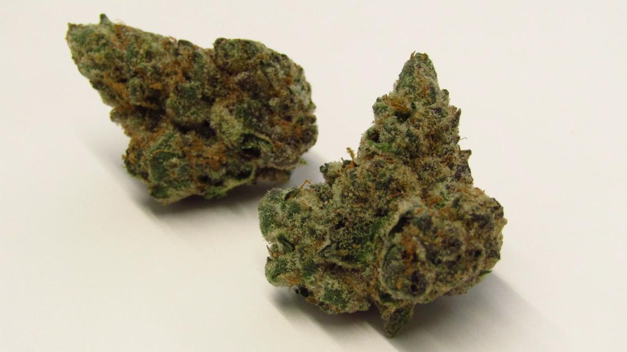 Why Colorado Tokers Love Pakistani Chitral