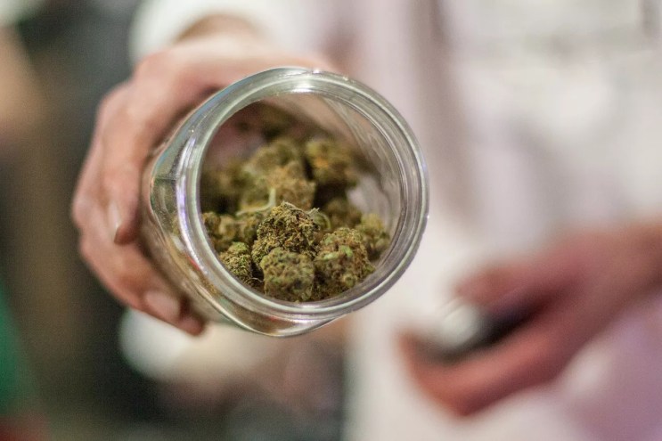 Open jar of cannabis