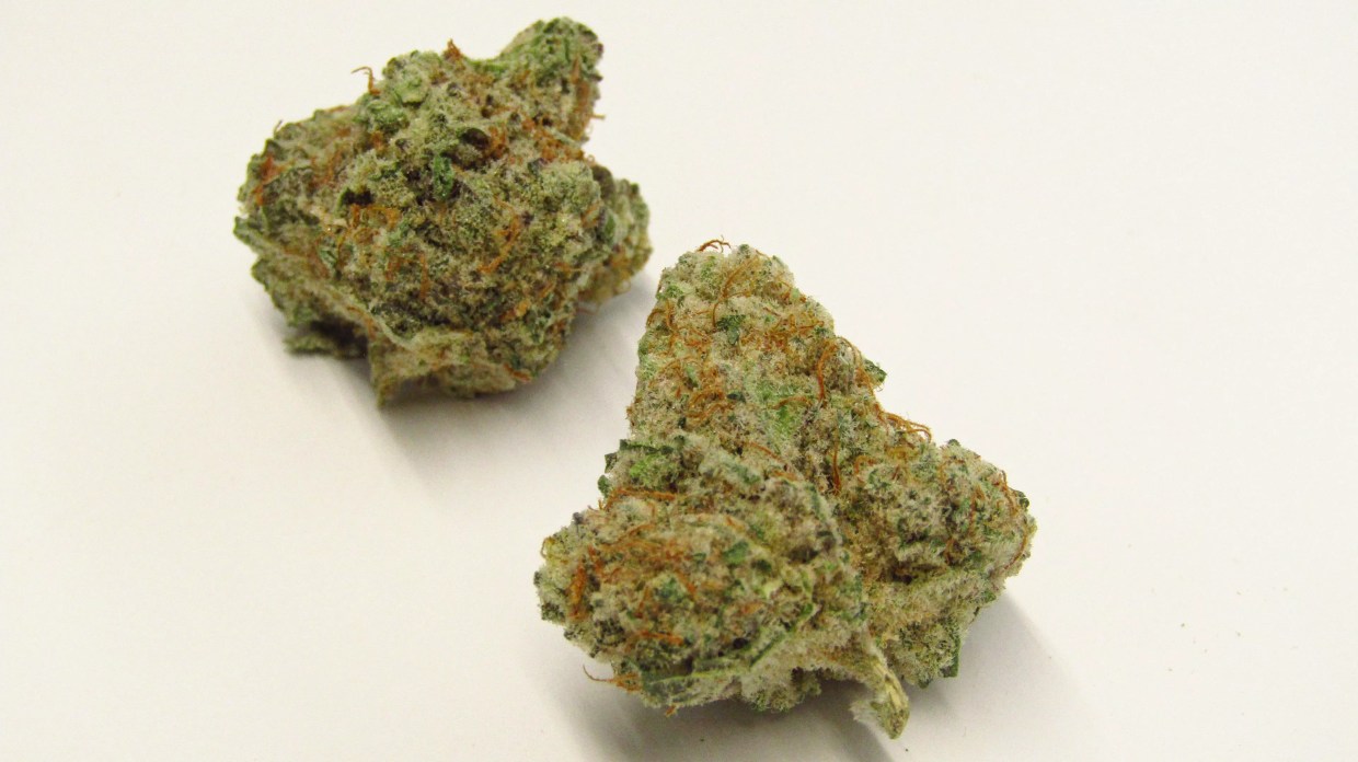 Why Colorado Stoners Love Sherb Crasher