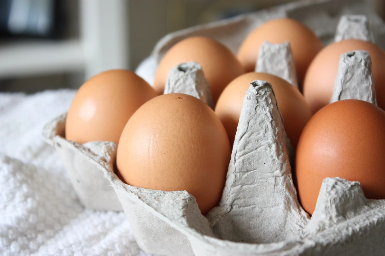 Freshman Republican Wants to Repeal Colorado’s New Cage-Free Eggs, Bag Fee Laws