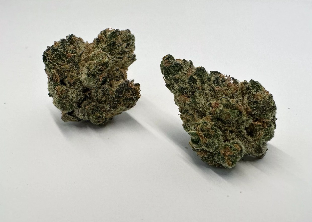 Why Colorado Tokers Love Honey Bunny