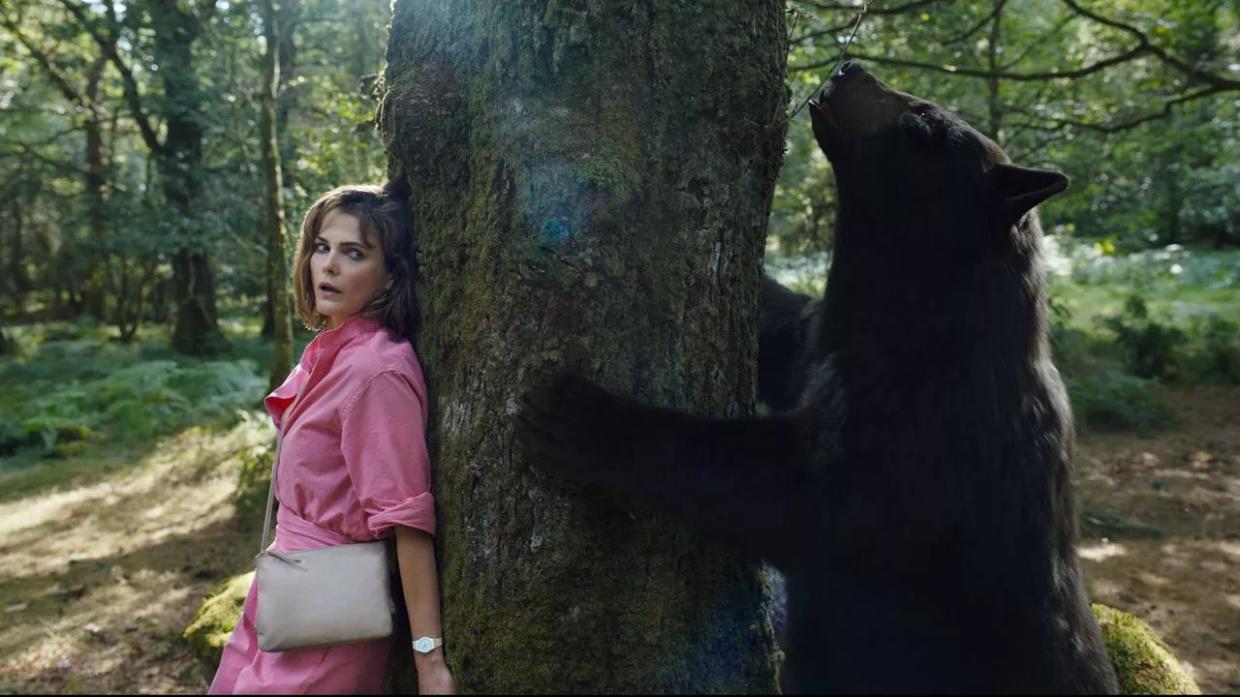 <i>Cocaine Bear</i> Didn’t Happen in Colorado, but “Cannabis Bear” Has