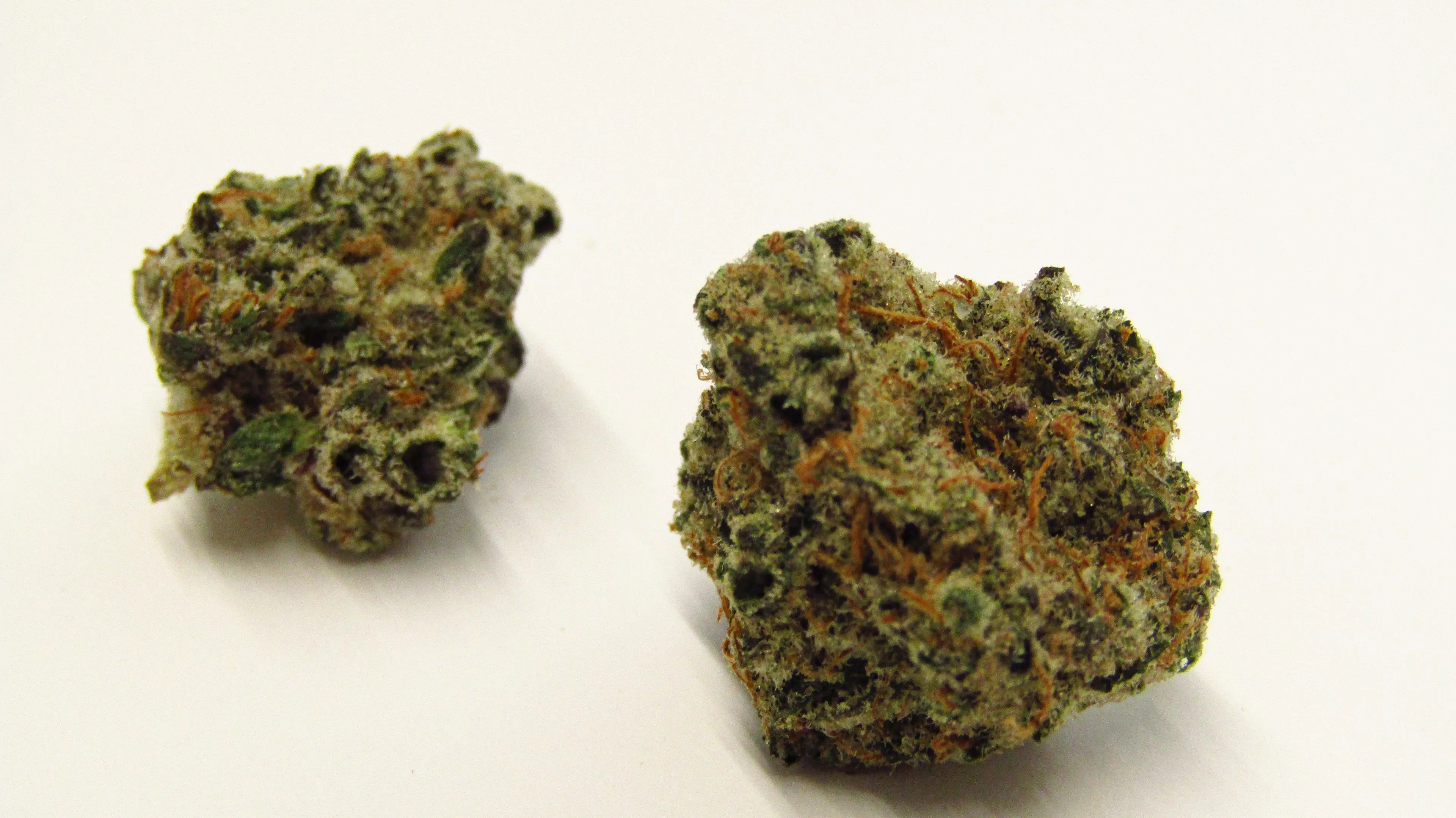 Green cannabis buds, Donny Burger strain