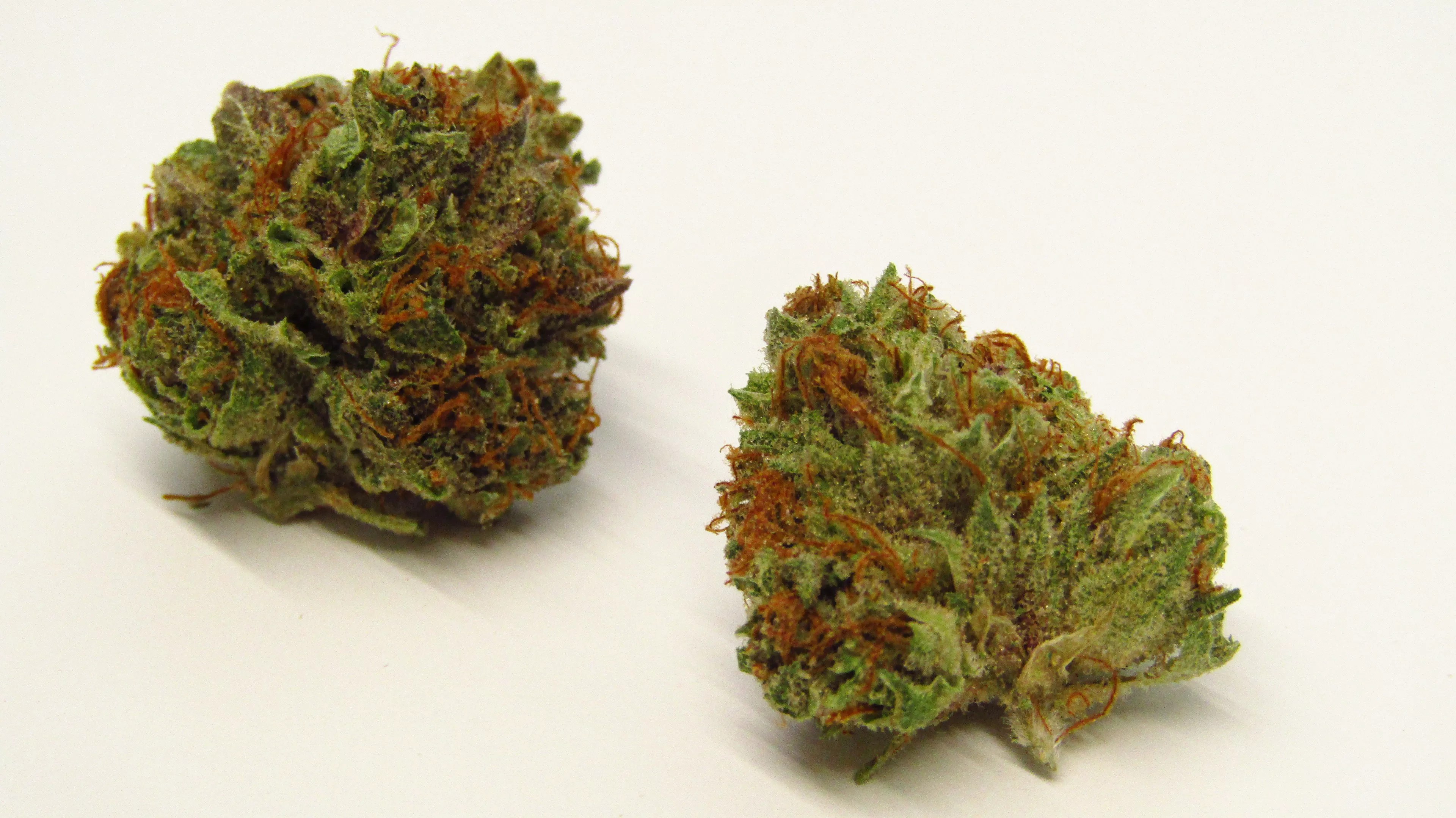 Raspberry Beret strain