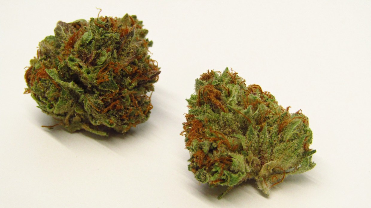 Raspberry Beret strain