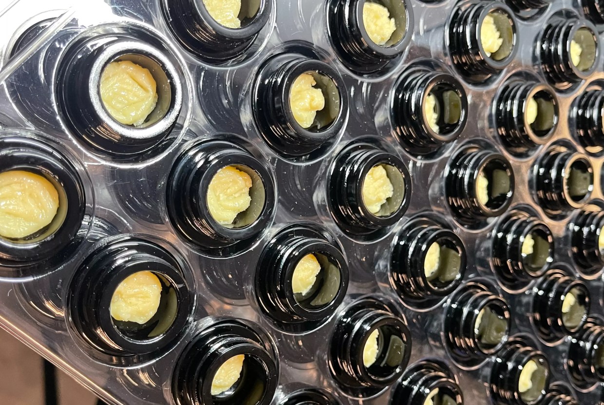 Open jars of rosin hash