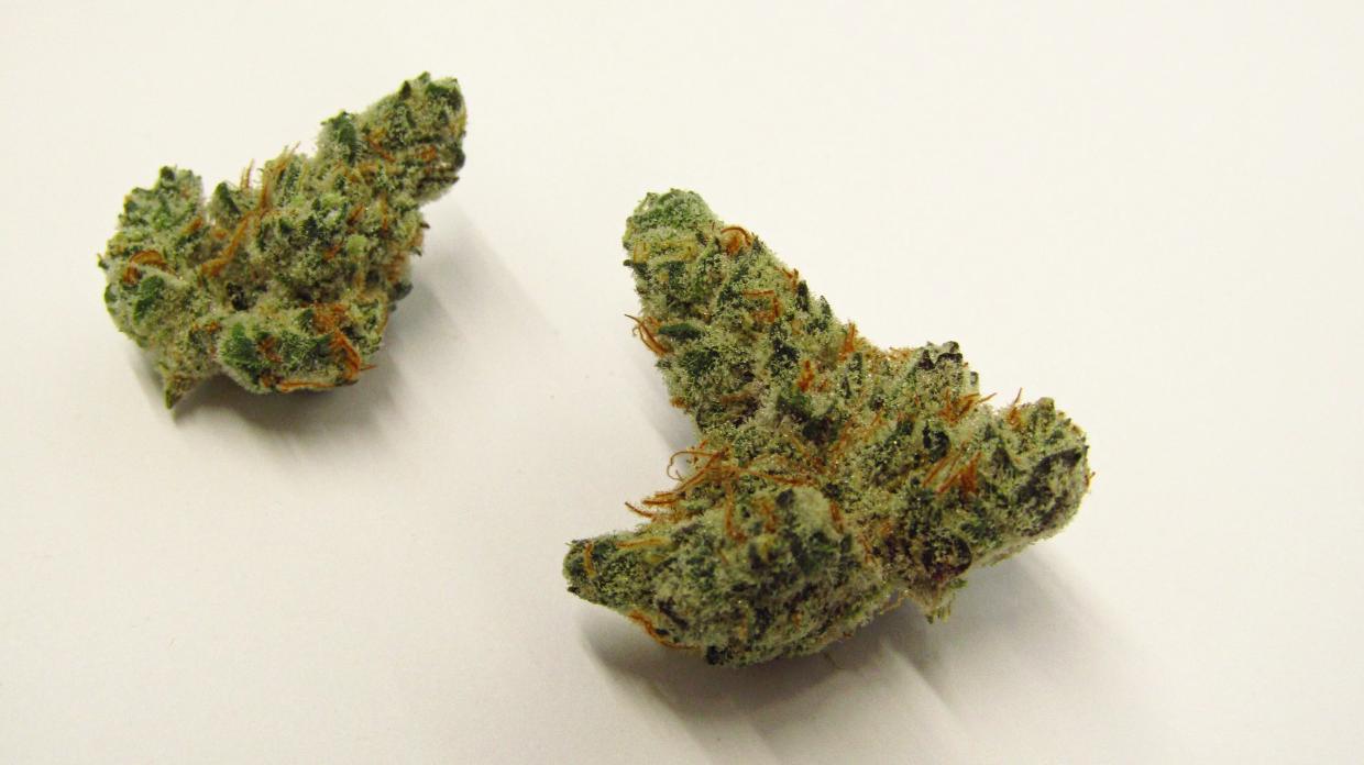 Mint Smash strain