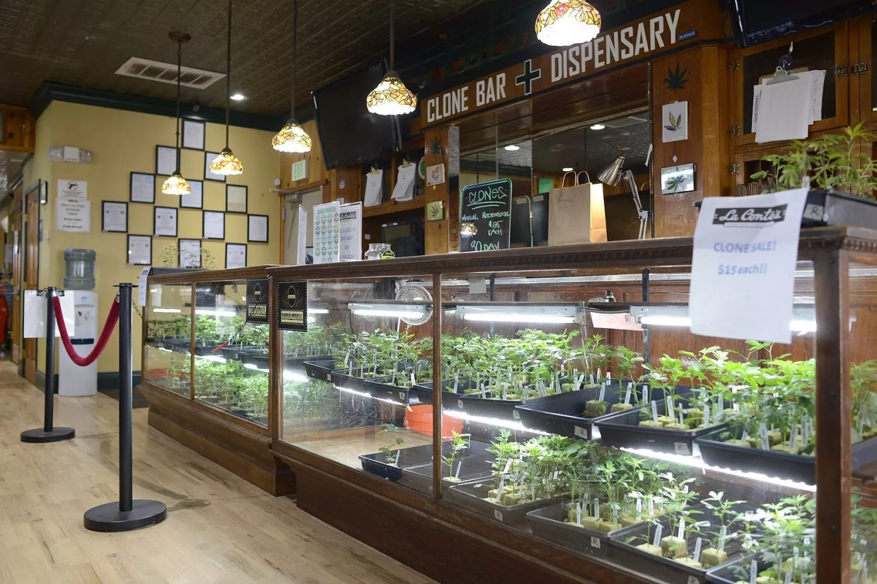 Inside a Denver marijuana dispensary