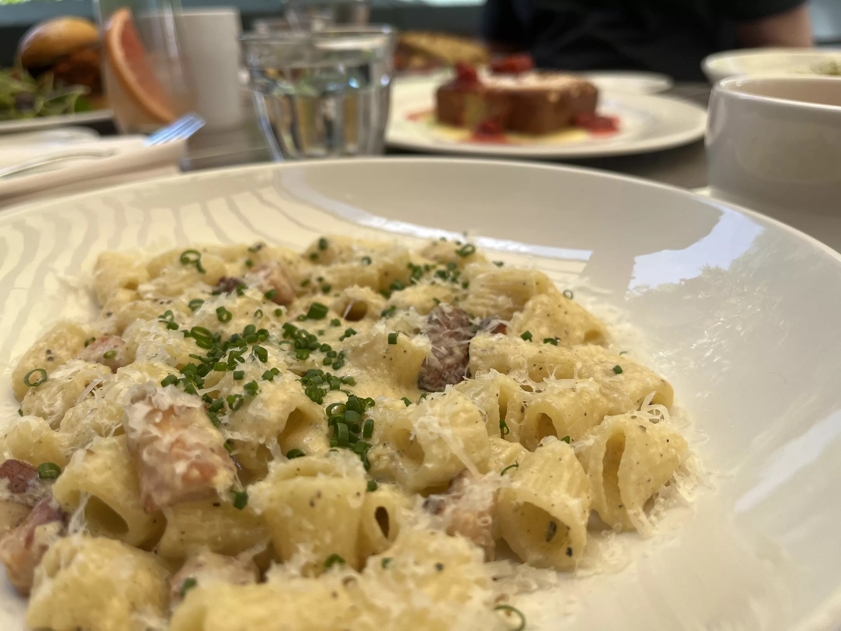 A dish with creamy pasta