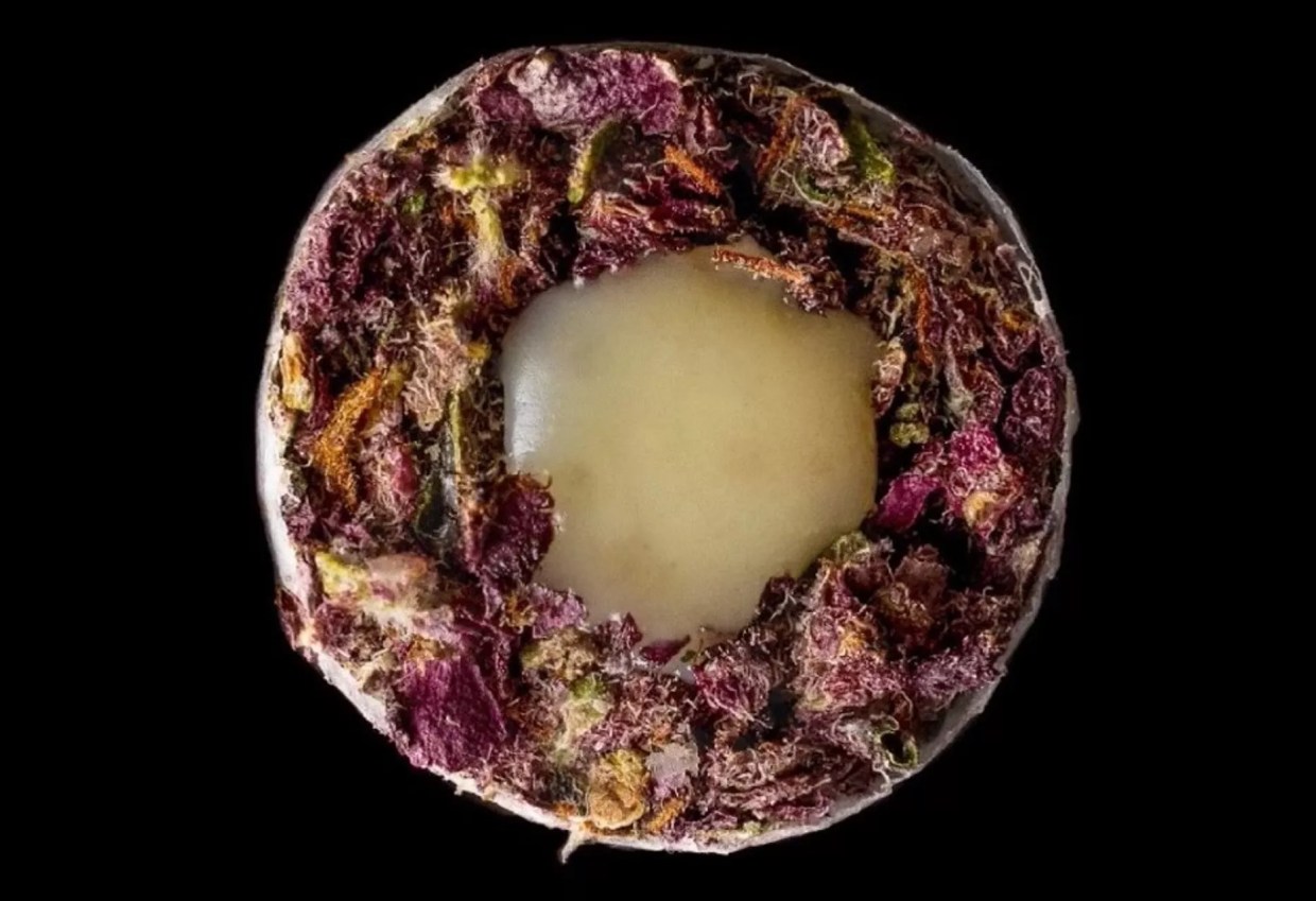 A hash hole cannabis joint with rosin inside