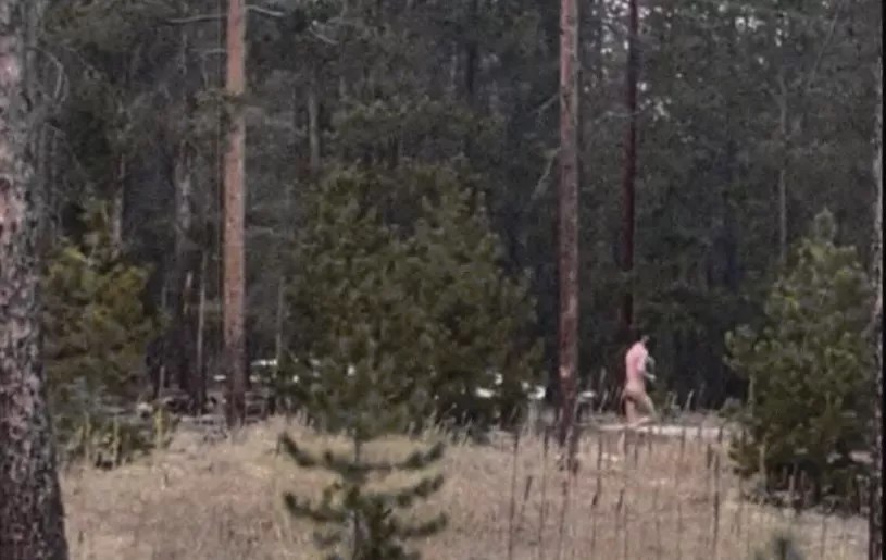 naked man running away in woods.