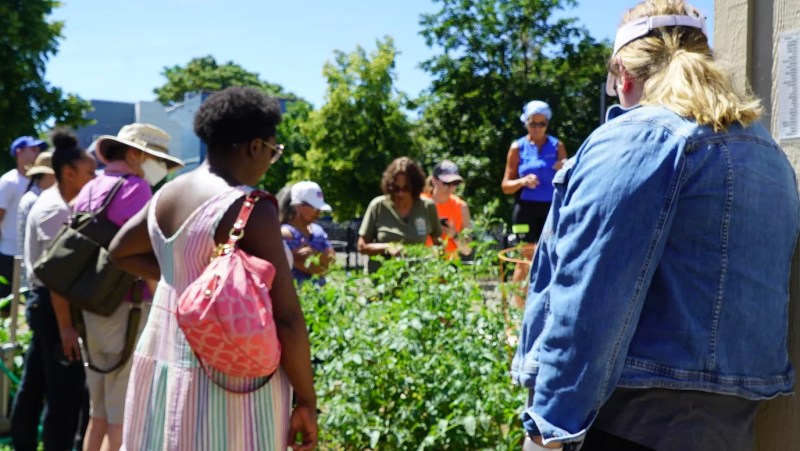 People stand around a garden bed looking at plants