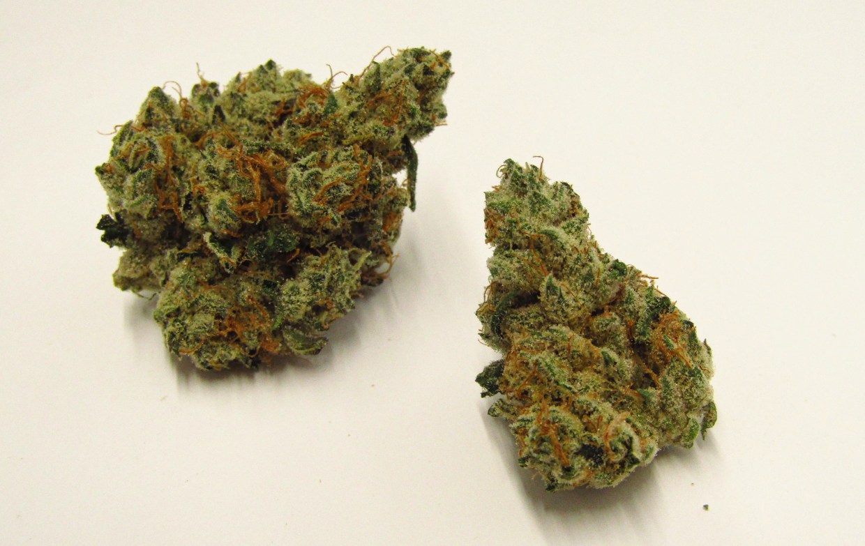 Garlic Cocktail cannabis strain