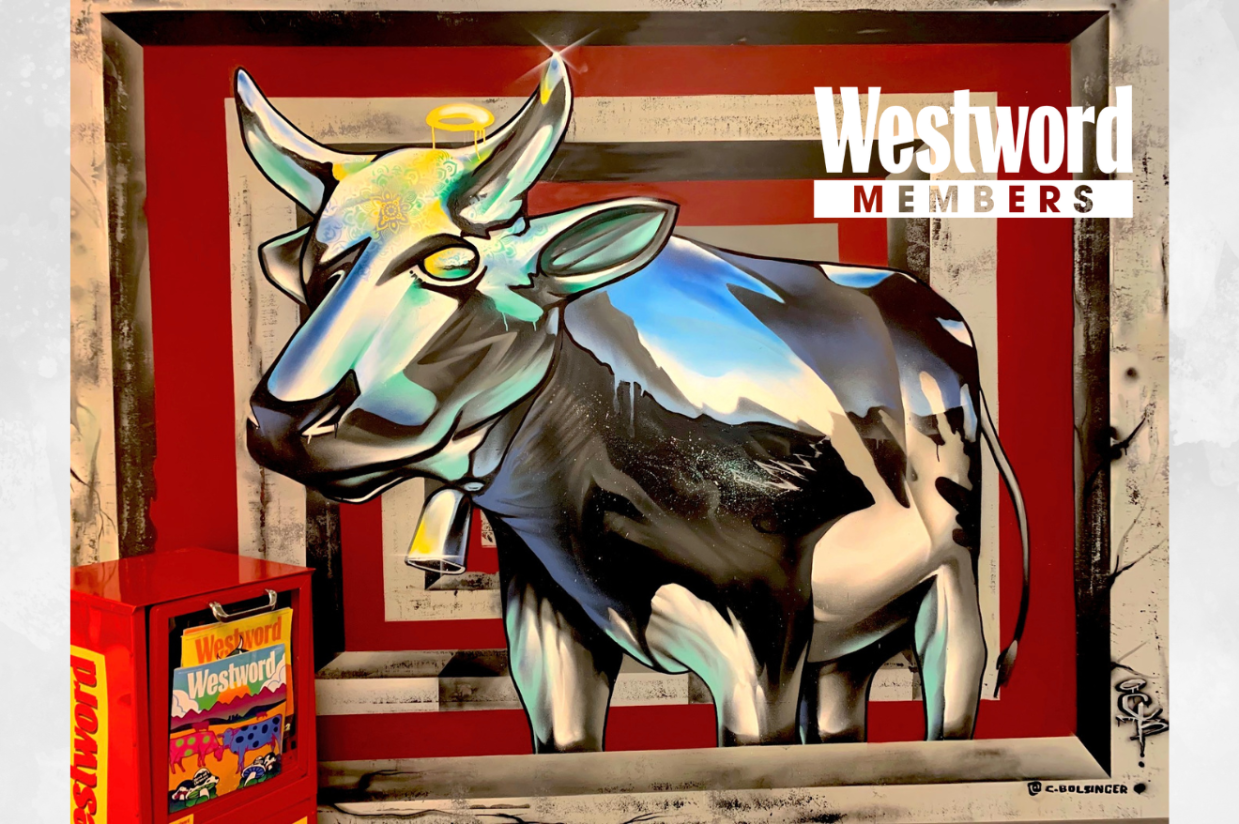 newspaper box and mural of cow