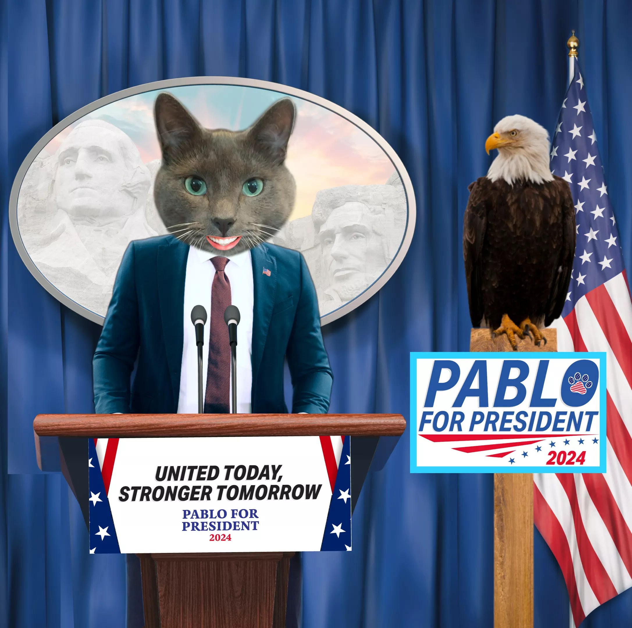 Pablo the Cat, who is running for president out of Colorado, making his announcement speech.
